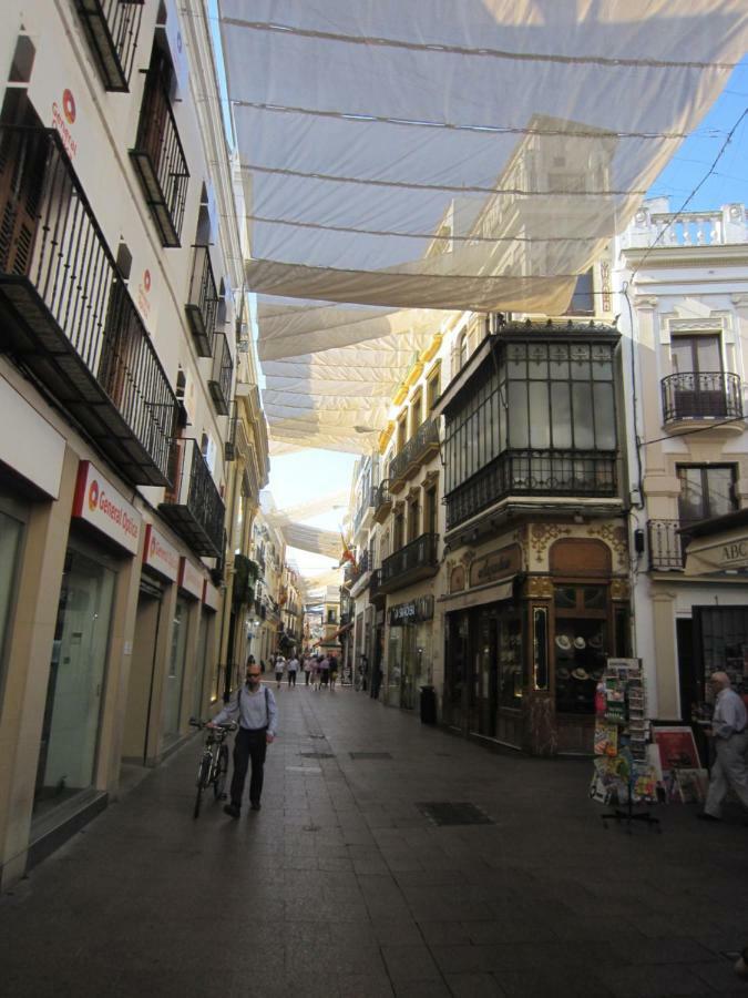 Apartamento Centrico Plaza Del Salvador Sevilla Bagian luar foto